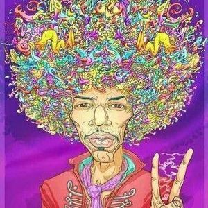 Meet your Posher, Terry